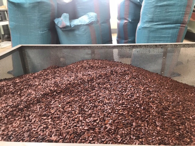 Combo sỉ hạt dưa thiên hương