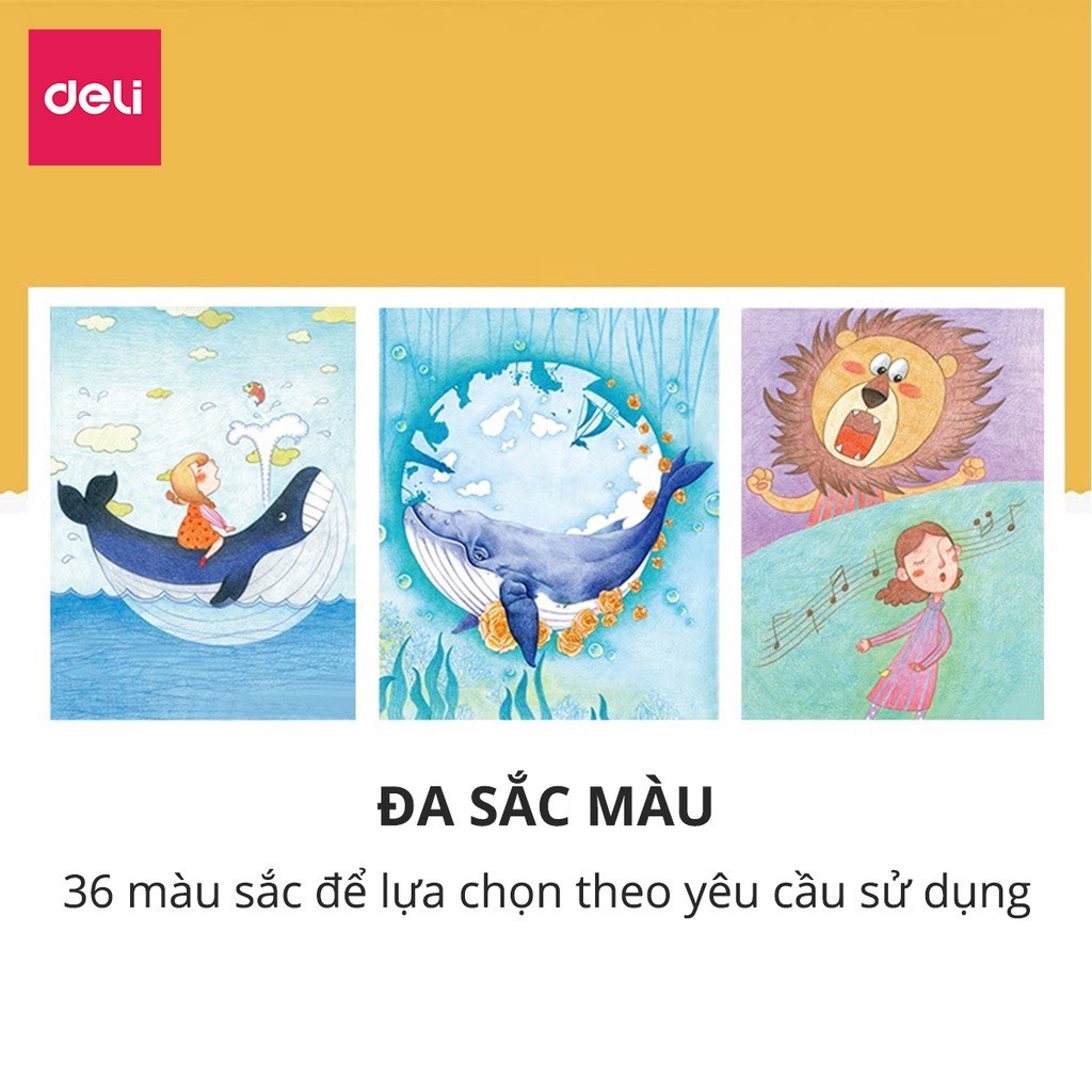 Bút chì màu dạng cốc học sinh Deli - 18/24/ 36 màu - 7013/7014/7015