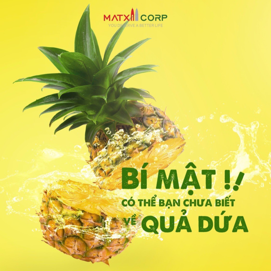 Ngô Dung - Thạch dứa giảm cân