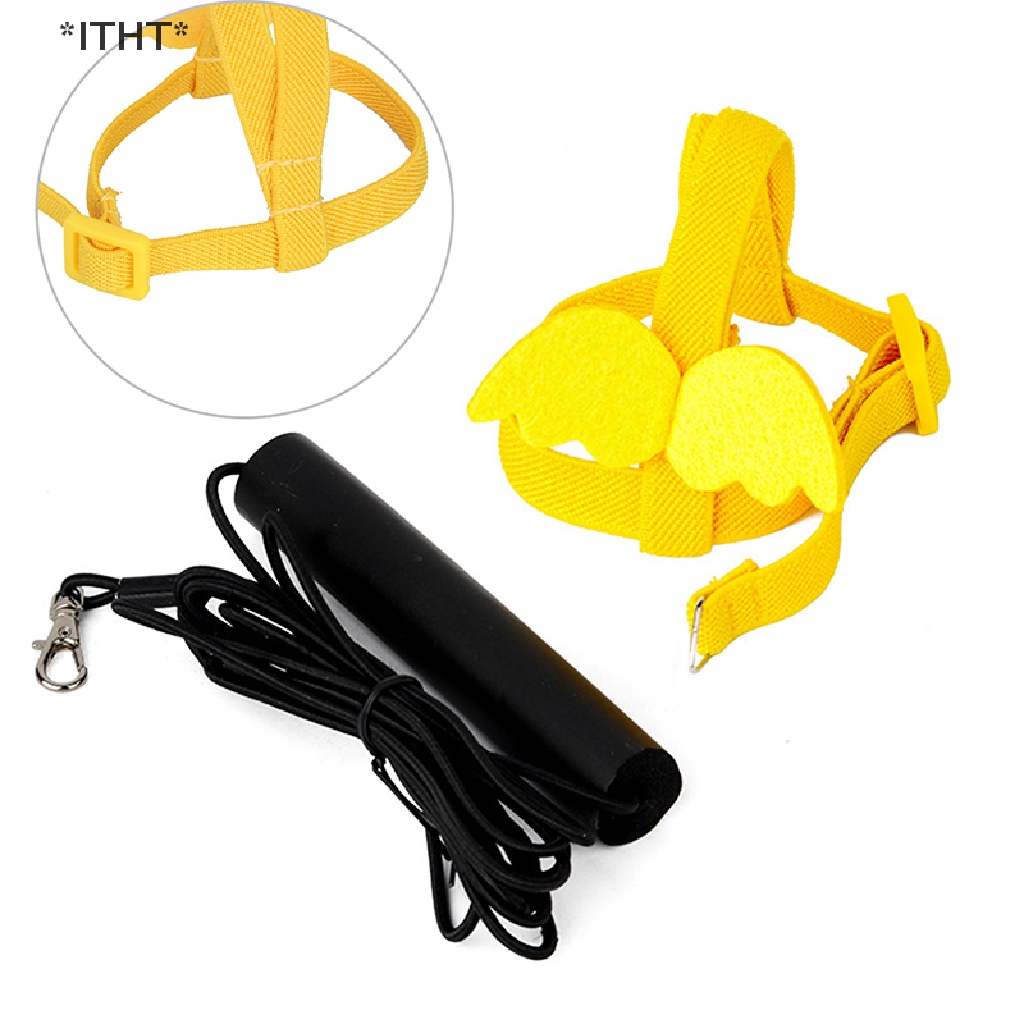 Dây Huấn Luyện Chim Vẹt Ngoài Trời Tiện Dụng