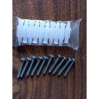 Set 10 vít chìm kèm nở nhựa ( tắc kê nhựa)