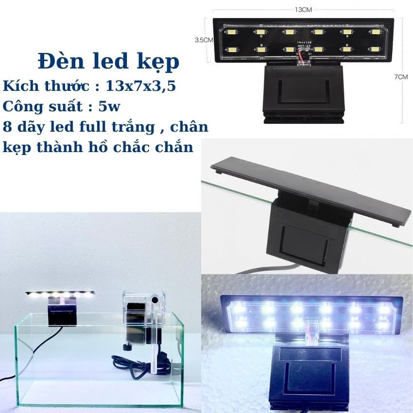 Bể cá mini COMBO ĐẦY ĐỦ, Hồ cá mini 28x13x14 đầy đủ tặng kèm phụ kiện trang trí