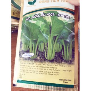 Hạt cải ngọt 20gam làm rau mầm, cải con đều được