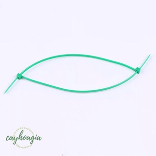 Dây buộc thảm cỏ chuyên dụng 100 sợi