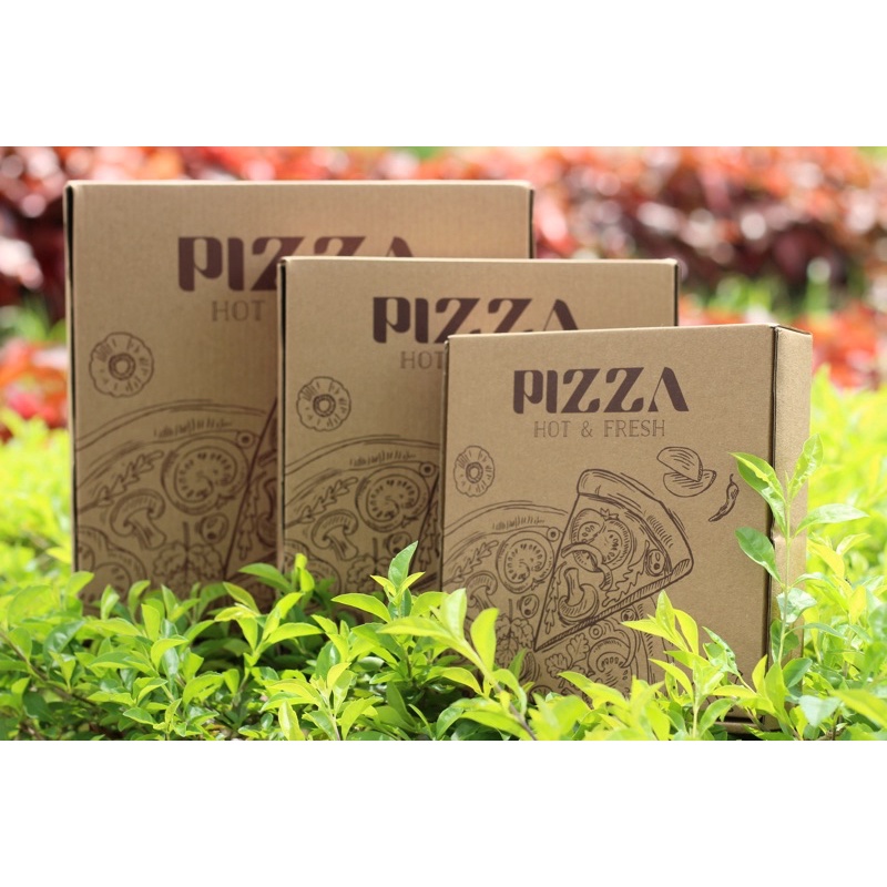 Combo 100 hộp pizza size 24