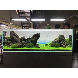 DECAL ADA - TRANH DECAL OPEN SKY - Tranh nền bể cá