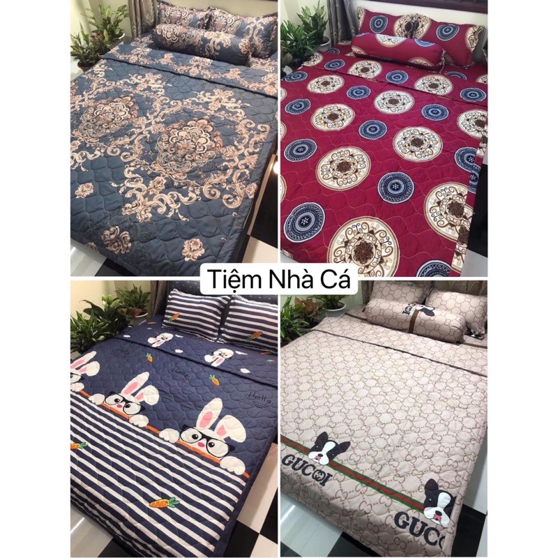 Bộ Chăn Ga Gối Combo 5 Món Cotton Poly - Nhiều Mẫu Lựa Chọn