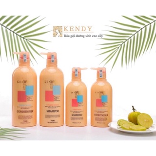 [ DẦU GỘI NHẬT BẢN ] CẶP GỘI DƯỠNG SINH CAO CẤP KENDY 800ML