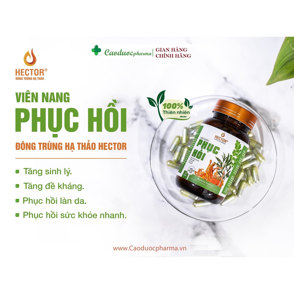 Viên nang Phục Hồi Sức Khỏe Hector Đông trùng hạ thảo + Chùm ngây+ Đinh năng