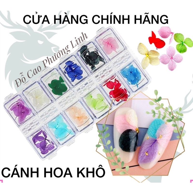 Hoa khô cánh to , hoa nhí , phụ kiện ẩn gel làm nail