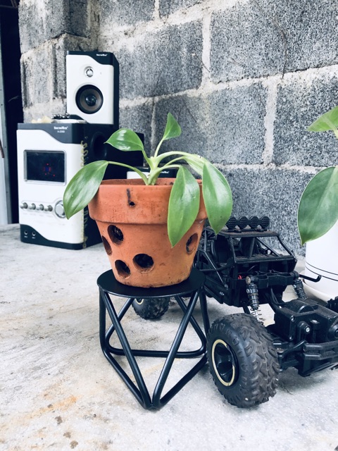 Kệ cây mini để bàn  dùng để bàn làm việc - bàn ăn cao 10cm