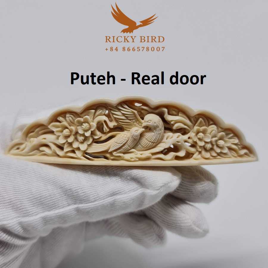 Phụ kiện chim - Chim và hoa - Puteh door - R