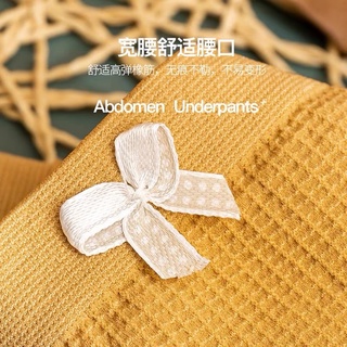 SET 10 QUẦN CHIP VIỀN REN ( Cotton co dãn )