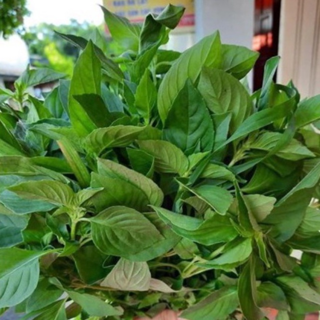 Hạt Giống Rau Thơm Sả (Rau É Trắng) Dễ Trồng, Thơm Ngon 2gr