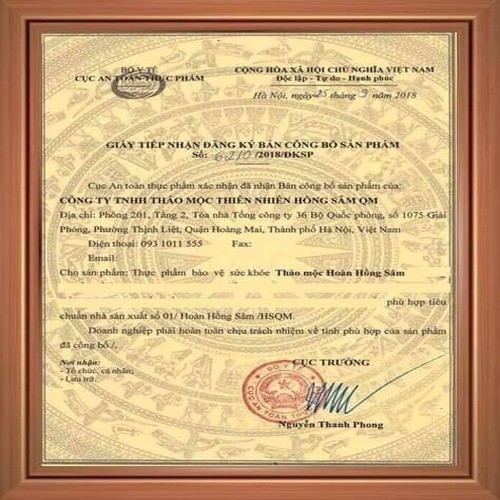 TĂNG CÂN ĐÔNG Y HỒNG SÂM QM-HÀNG CHÍNH HÃNG | BigBuy360 - bigbuy360.vn