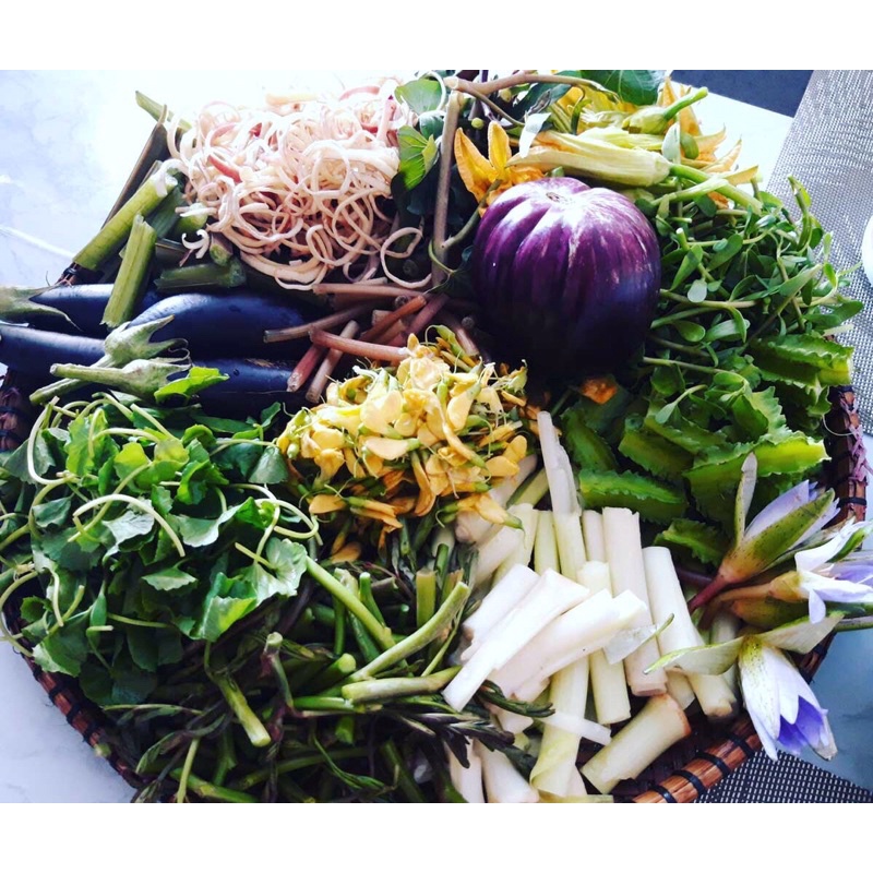 Cây Bồn Bồn miền Tây ngâm đóng gói ăn Lẩu, làm gỏi cực ngon