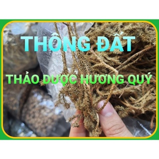 1 Kg Cây Thông Đất Khô, Sạch, Thơm