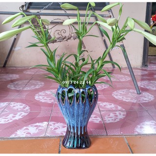 LỌ HOA SỨ ĐẸP BÌNH GỐM CẮM HOA