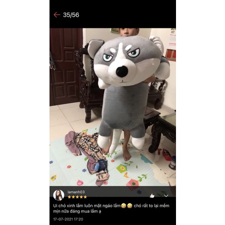Gấu bông Chó Husky Siêu To Khổng Lồ - gối ôm chó ngáo