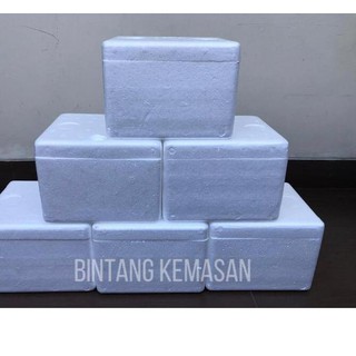 Popular Styrofoam Box Mini 20.5x18 x 15cm 44fx