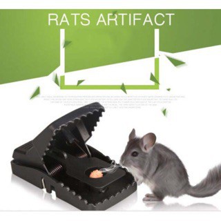 Dụng cụ bẫy chuột Loại xịn