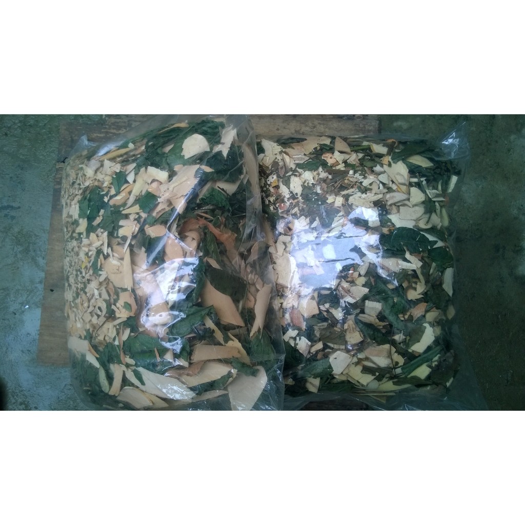 Cây lá gan túi 1 kg | BigBuy360 - bigbuy360.vn