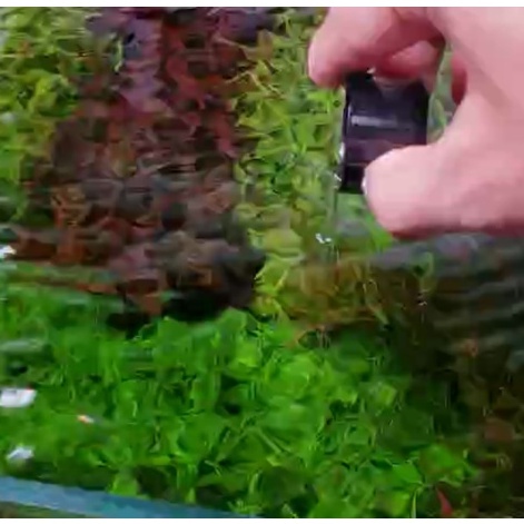 VI SINH TRONG NƯỚC HỒ CÁ EXTRA BIO 250ml