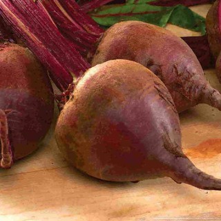 2Gr Hạt Giống Củ Dền Đỏ luckyseed hạt siêu rẻ