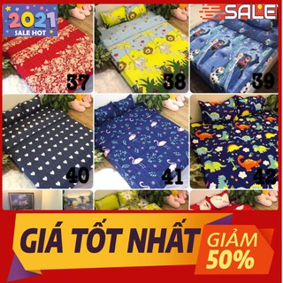 Sale lỗ ga trải giường 2m2 poly bedding 2M223