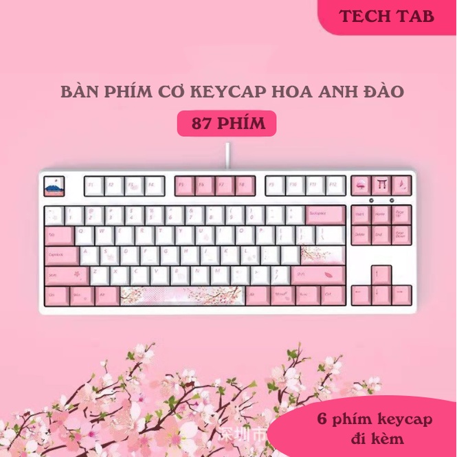 Bàn phím cơ có dây TKL 87 phím keycap ToToRo switch blue