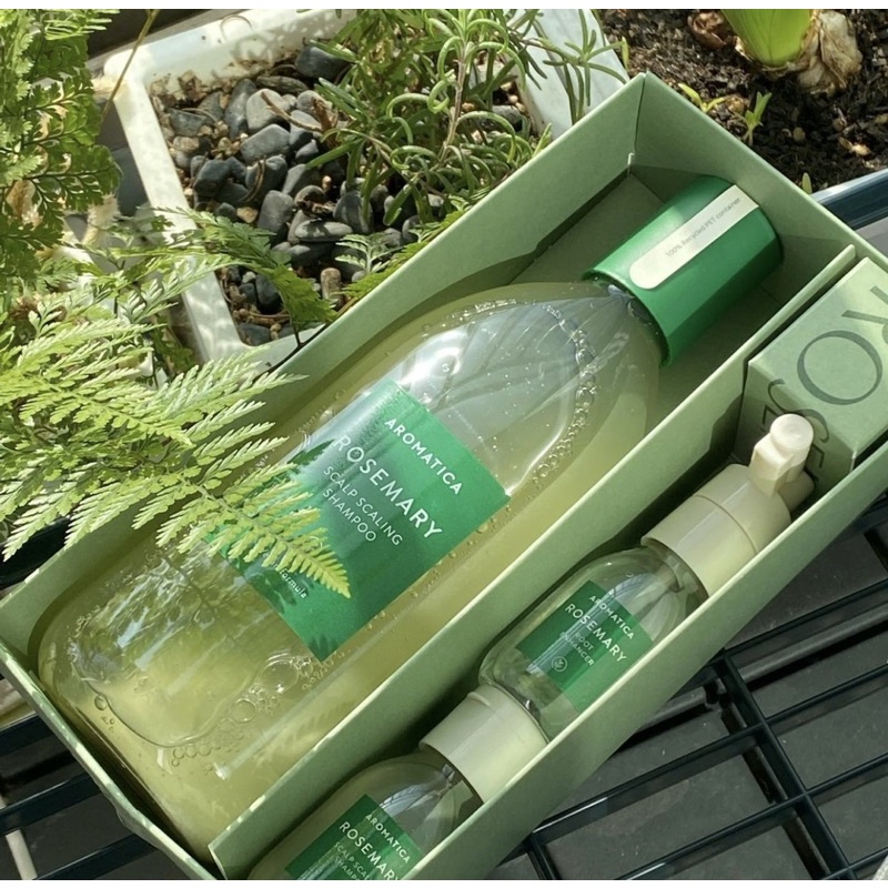 Bộ chăm sóc tóc kích thích mọc tóc AROMATICA ROSEMARY SCALP