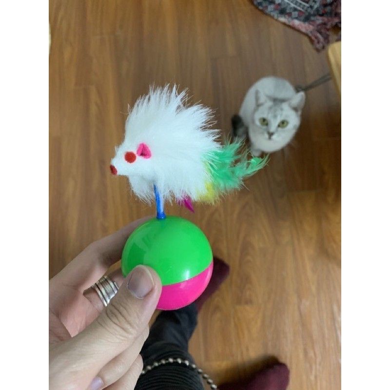 Đồ chơi thú cưng - Lật đật chuột - dồ chơi cho chó mèo (siêu cute)
