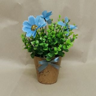 Chậu hoa nhỏ bày trang trí