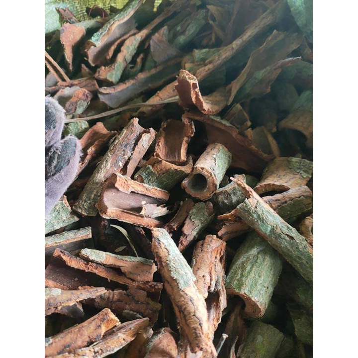 Bột keo bời lời thiên nhiên Gia Lai - 500gr Nguyên liệu làm nhang nụ, nhang sạch 100%