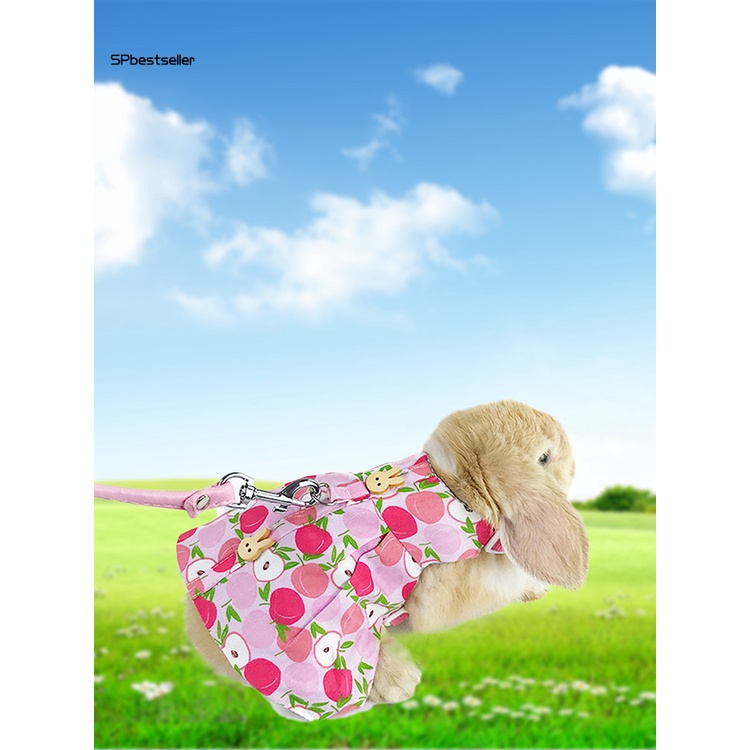 Áo cho thỏ cỡ nhỏ 3 màu tùy chọn thân thiện với da