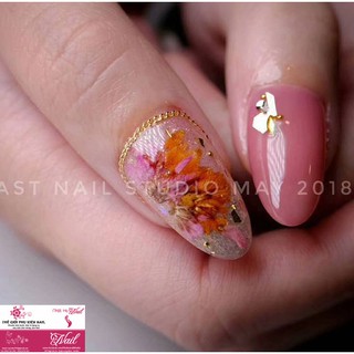 Sơn Gel Thạch Vinimay (mã 21-36)