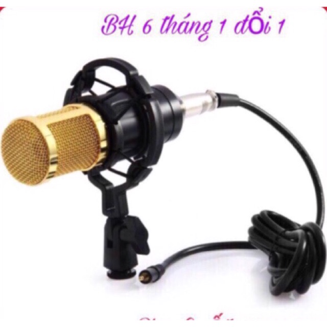 Micro BM800 livestream karaoke