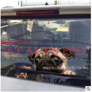 Tem Dán xe oto chó pug siêu dễ thương.