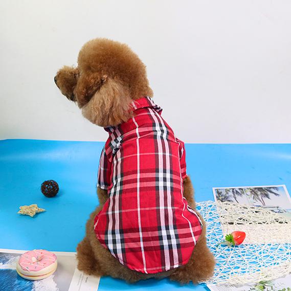 Áo sơ mi cho chó siêu cute