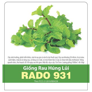 Hạt giống bạc hà âu (húng lũi)