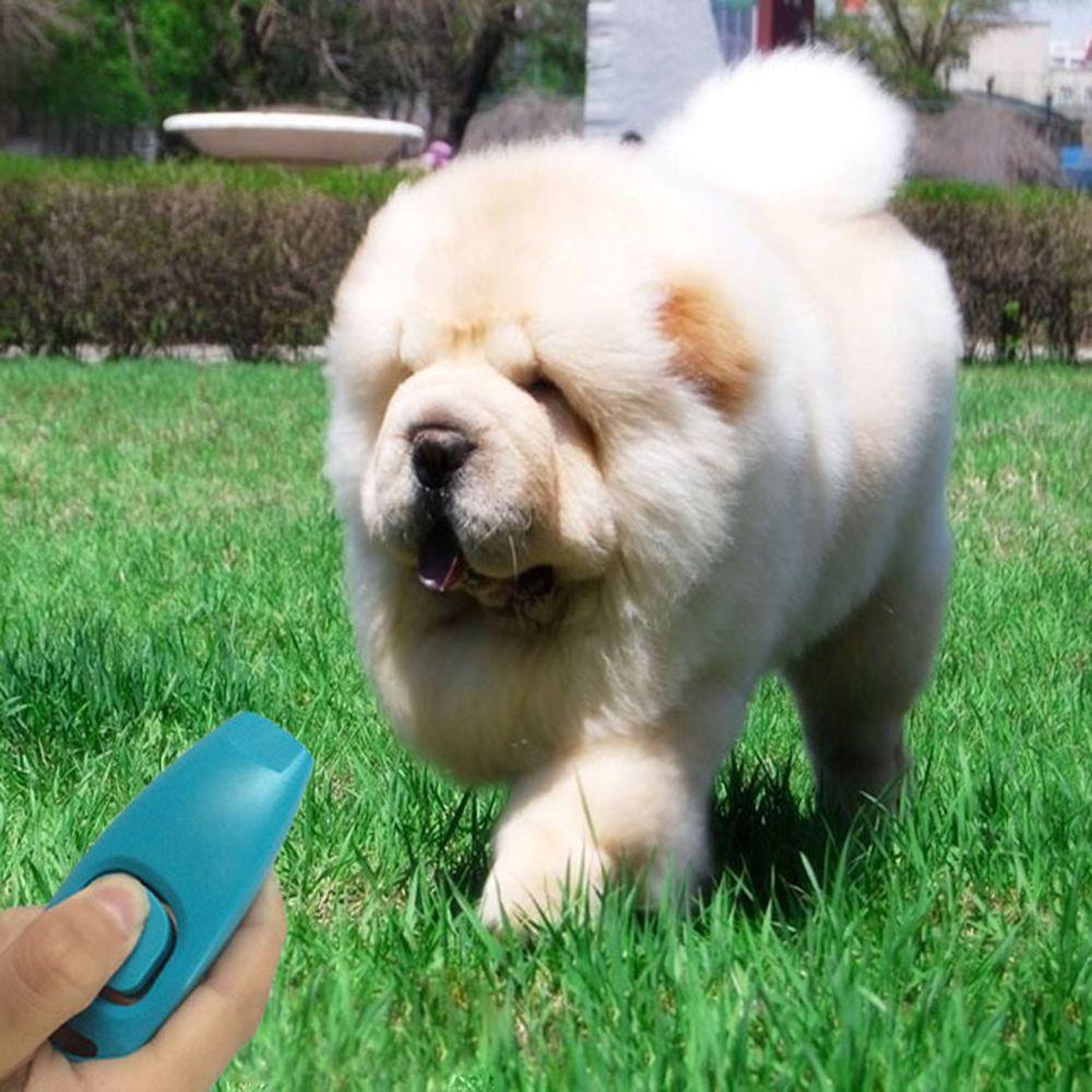 Móc Khóa Huấn Luyện Chó Mèo