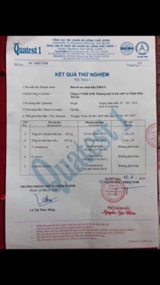 Bỉm EBOLY Quần/Dán 100M 100L 100XL 100XXL 100XXXL