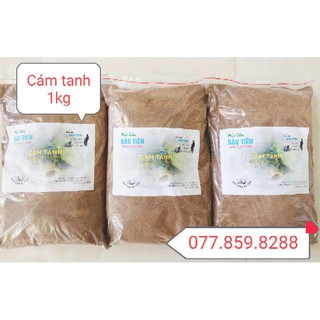 CÁM TANH - mồi câu bảo tiên