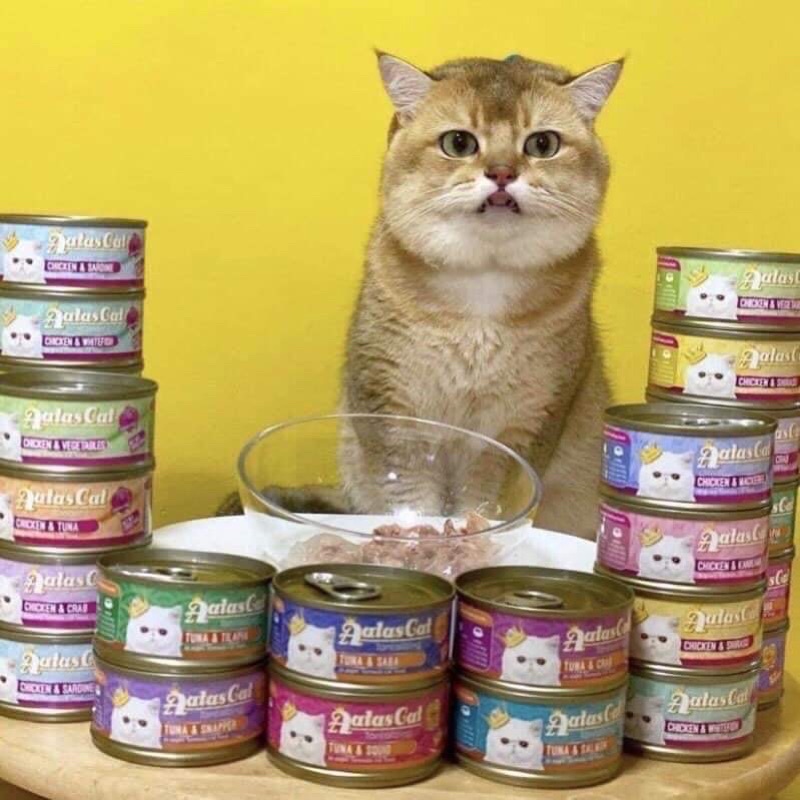 [Mã PET50K giảm Giảm 10% - Tối đa 50K đơn từ 250K] Pate Lon Cao Cấp Aatas Cat Tantalizing Tuna 80G - Hàng Nhập Khẩu