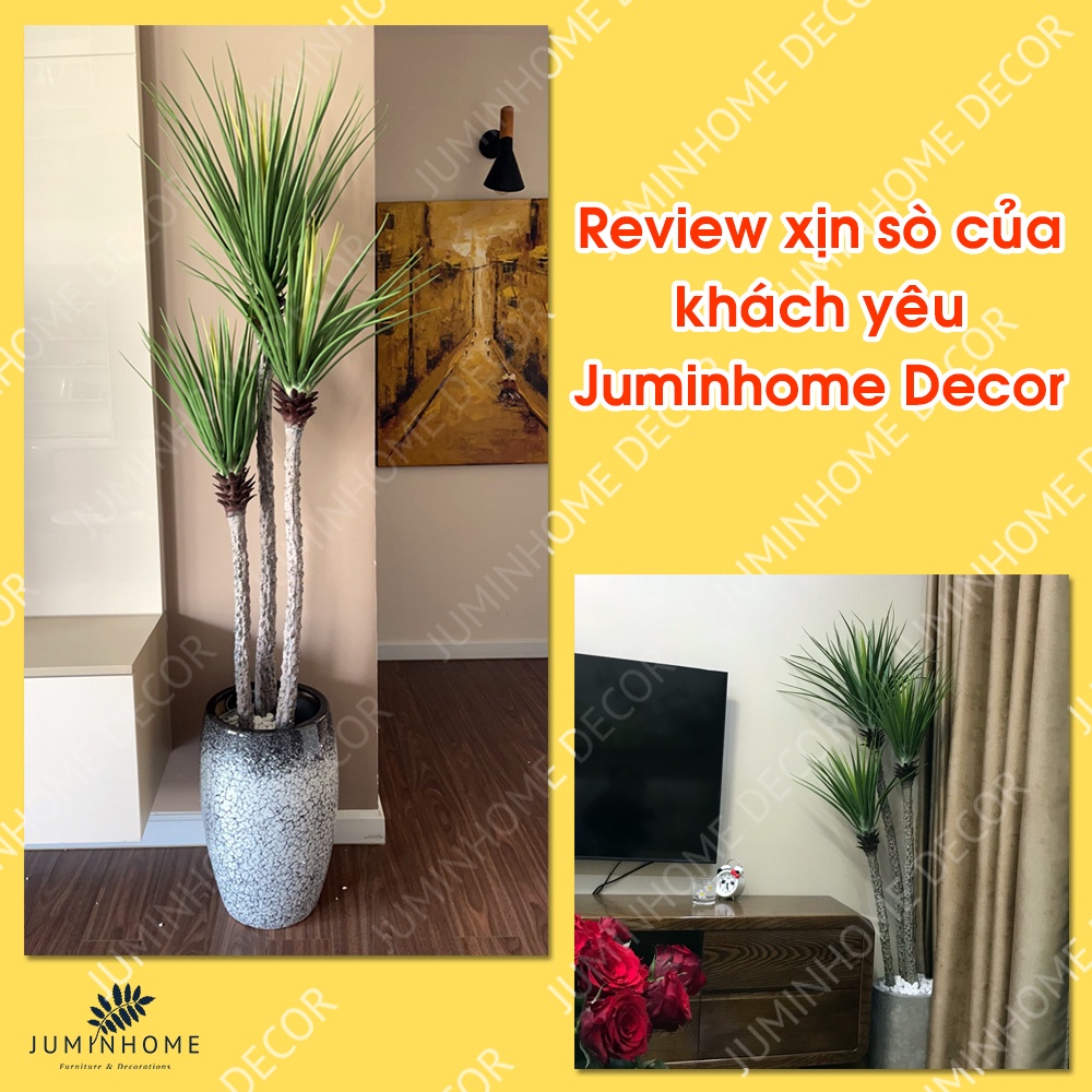Cây giả, Cây phát tài núi giả, thiết mộc lan giả - Cây giả decor trang trí nhà cửa nội thất phòng khách phòng ngủ
