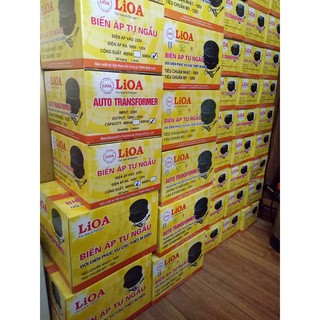 Biến áp 220V ra 110V 2000VA LiOA