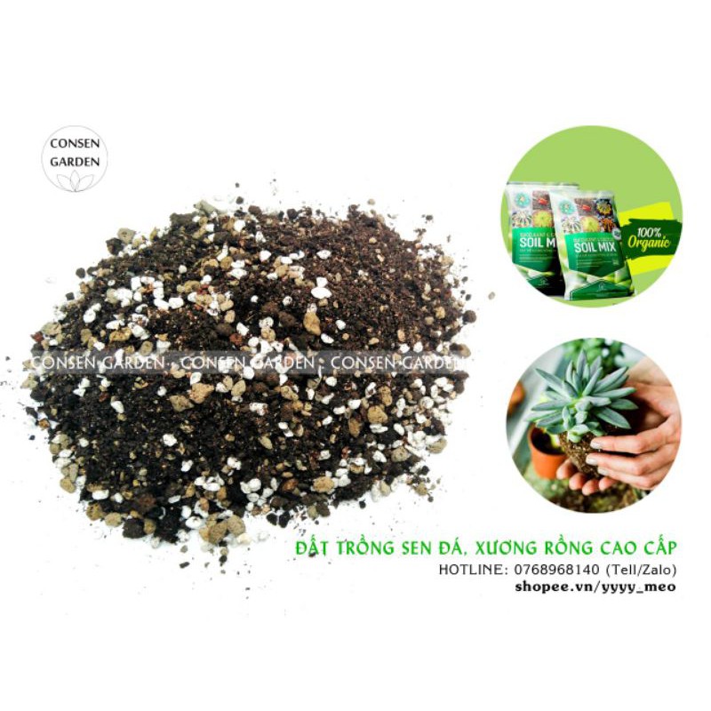 Đất Trồng Sen Đá, XR Soil Mix Túi 6 Kg