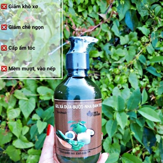 Dầu Xả Tóc Dừa Bưởi Nha Đam Tươi Nguyên Chất 100%