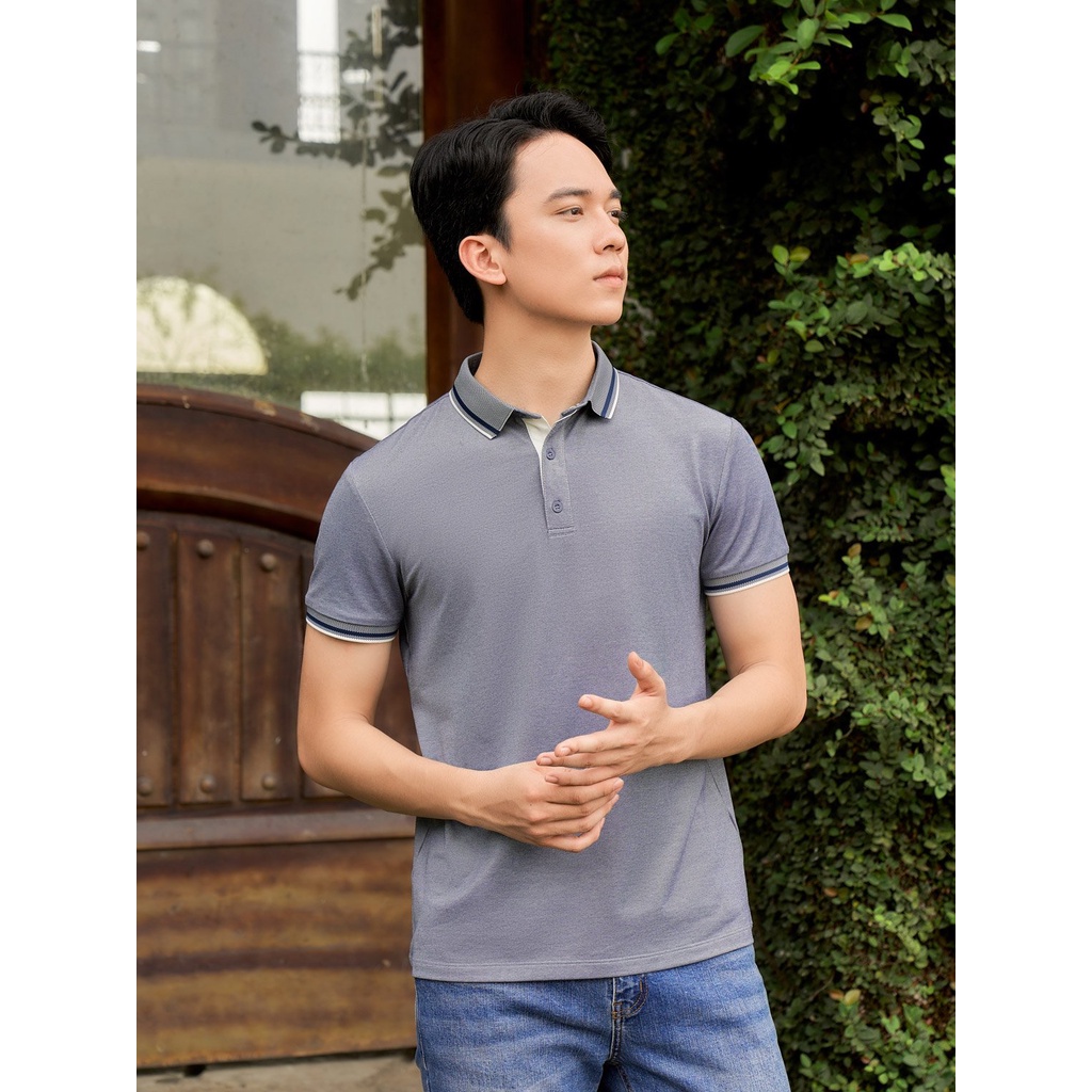Áo Polo YODY Nam Pique Mắt Chim Melange Phối Nẹp Thiết Kế Mới APM5331