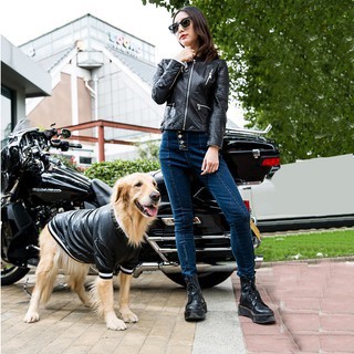 Áo khoác da thời trang thu đông cho chó lớn Alaska siêu hot